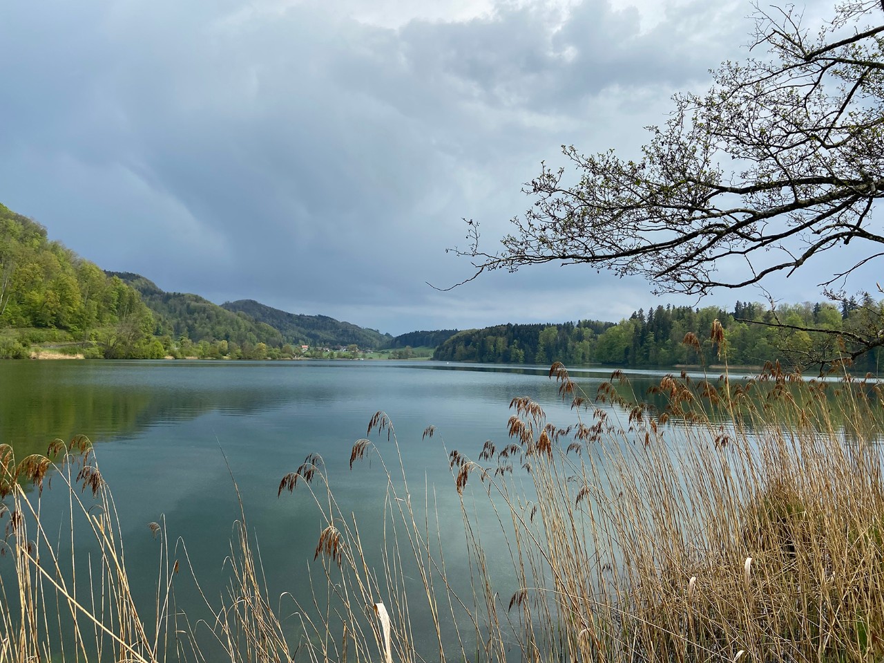 Le parcours comprenait le tour du lac de Türlen dans le Säuliamt zurichois